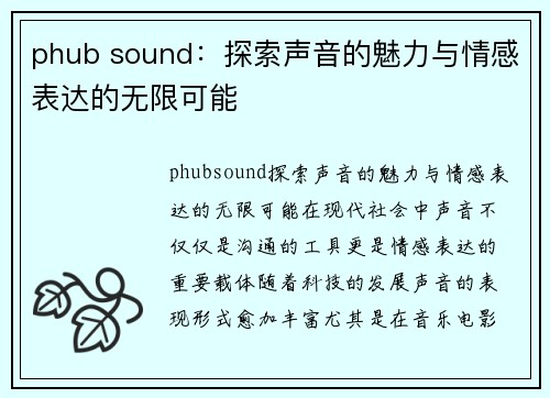 phub sound：探索声音的魅力与情感表达的无限可能